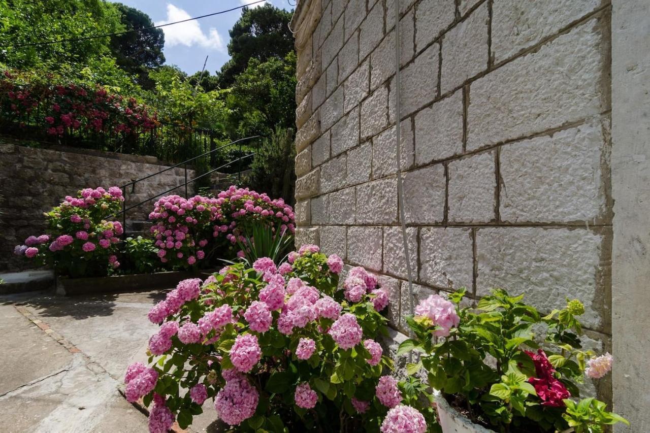 Apartment Djivo Dubrovnik